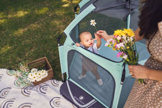 Baby in a stroller looking at flowers held by an adult outdoors.